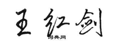 駱恆光王紅劍行書個性簽名怎么寫