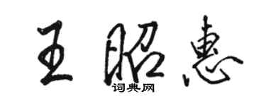 駱恆光王昭惠行書個性簽名怎么寫