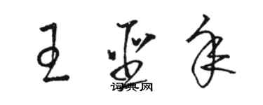 駱恆光王聖年草書個性簽名怎么寫