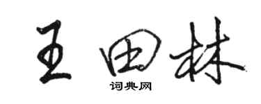 駱恆光王田林行書個性簽名怎么寫