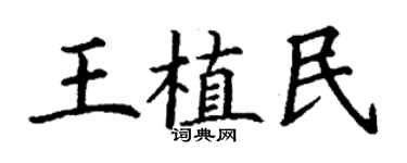 丁謙王植民楷書個性簽名怎么寫