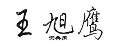 駱恆光王旭鷹行書個性簽名怎么寫