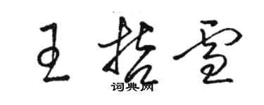 駱恆光王哲雪草書個性簽名怎么寫