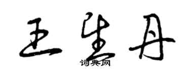 曾慶福王望丹草書個性簽名怎么寫