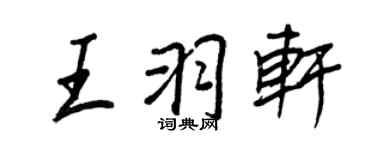 王正良王羽軒行書個性簽名怎么寫