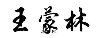 胡問遂王蒙林行書個性簽名怎么寫