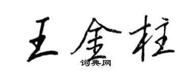 王正良王金柱行書個性簽名怎么寫