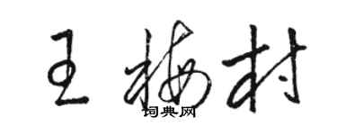 駱恆光王梅村草書個性簽名怎么寫