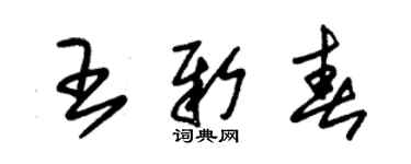 朱錫榮王新春草書個性簽名怎么寫