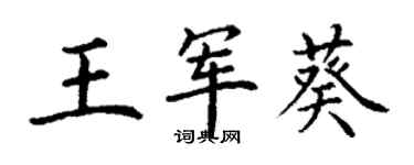 丁謙王軍葵楷書個性簽名怎么寫