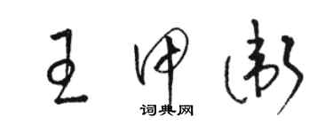 駱恆光王甲衛草書個性簽名怎么寫