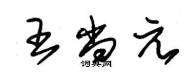 朱錫榮王尚元草書個性簽名怎么寫