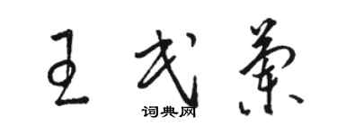 駱恆光王民蘭草書個性簽名怎么寫