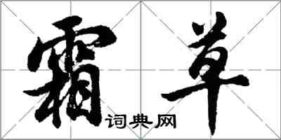 胡問遂霜草行書怎么寫