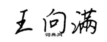 王正良王向滿行書個性簽名怎么寫