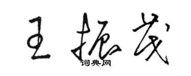 駱恆光王振茂草書個性簽名怎么寫