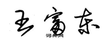 朱錫榮王富東草書個性簽名怎么寫