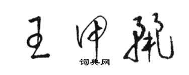 駱恆光王甲麗草書個性簽名怎么寫