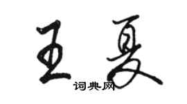 駱恆光王夏行書個性簽名怎么寫