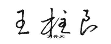 駱恆光王柱良草書個性簽名怎么寫