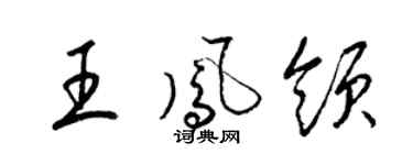 梁錦英王鳳領草書個性簽名怎么寫