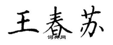 丁謙王春蘇楷書個性簽名怎么寫