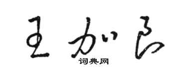 駱恆光王加良草書個性簽名怎么寫