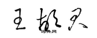 駱恆光王胡君草書個性簽名怎么寫