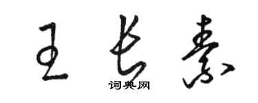 駱恆光王長素草書個性簽名怎么寫