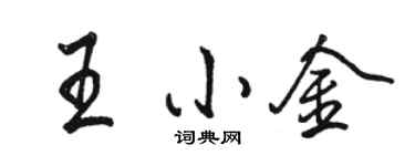 駱恆光王小金行書個性簽名怎么寫