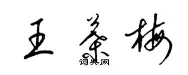 梁錦英王葉梅草書個性簽名怎么寫