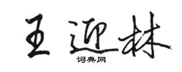 駱恆光王迎林行書個性簽名怎么寫