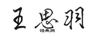 駱恆光王思羽行書個性簽名怎么寫