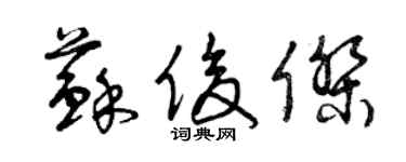 曾慶福蘇俊傑草書個性簽名怎么寫