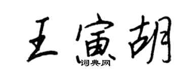 王正良王寅胡行書個性簽名怎么寫