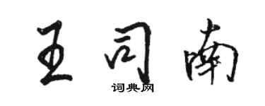 駱恆光王司南行書個性簽名怎么寫