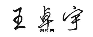 駱恆光王卓宇行書個性簽名怎么寫