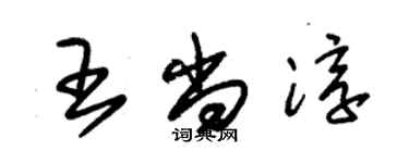 朱錫榮王尚淳草書個性簽名怎么寫