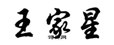 胡問遂王家星行書個性簽名怎么寫