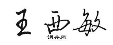 駱恆光王西敏行書個性簽名怎么寫