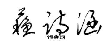 梁錦英蘇詩涵草書個性簽名怎么寫