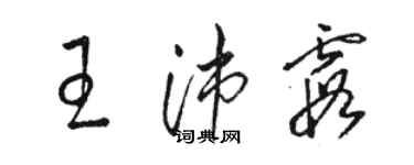 駱恆光王沛霞草書個性簽名怎么寫