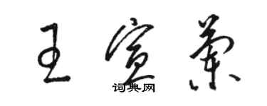 駱恆光王宣蘭草書個性簽名怎么寫