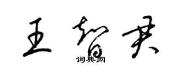 梁錦英王智君草書個性簽名怎么寫