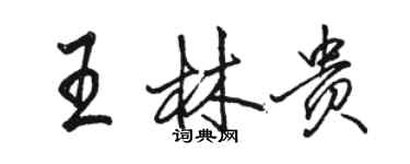 駱恆光王林貴行書個性簽名怎么寫