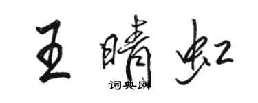 駱恆光王晴虹行書個性簽名怎么寫