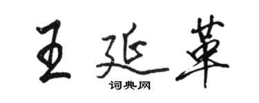 駱恆光王延革行書個性簽名怎么寫
