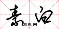 朱錫榮素白草書怎么寫