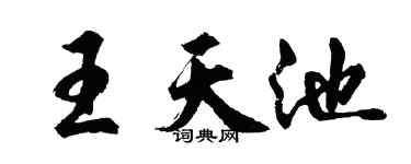 胡問遂王天池行書個性簽名怎么寫
