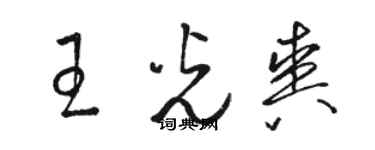 駱恆光王光爽草書個性簽名怎么寫